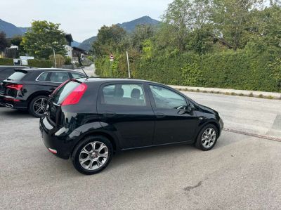 Fiat Punto Gebrauchtwagen