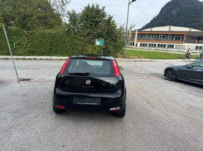 Fiat Punto Gebrauchtwagen