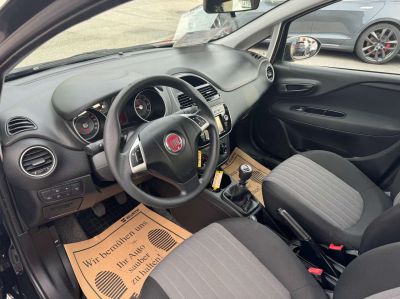 Fiat Punto Gebrauchtwagen