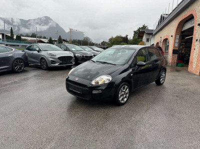 Fiat Punto Gebrauchtwagen