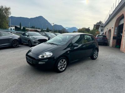 Fiat Punto Gebrauchtwagen