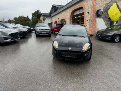 Fiat Punto Gebrauchtwagen