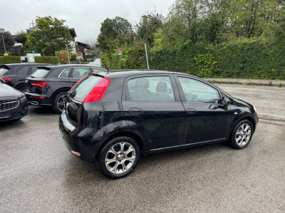 Fiat Punto Gebrauchtwagen