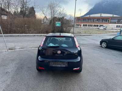 Fiat Punto Gebrauchtwagen