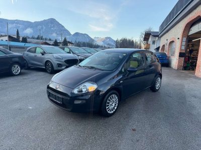 Fiat Punto Gebrauchtwagen