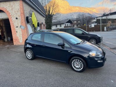 Fiat Punto Gebrauchtwagen