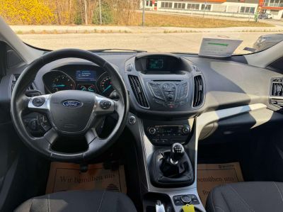 Ford Kuga Gebrauchtwagen