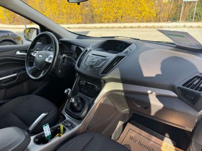 Ford Kuga Gebrauchtwagen