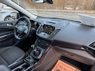 Ford Kuga Gebrauchtwagen