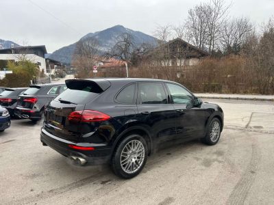 Porsche Cayenne Gebrauchtwagen