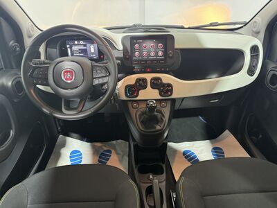 Fiat Panda Gebrauchtwagen Fiat Panda Gebrauchtwagen