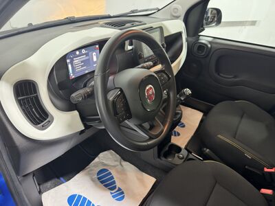 Fiat Panda Gebrauchtwagen Fiat Panda Gebrauchtwagen