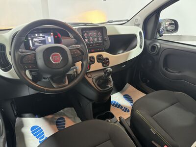 Fiat Panda Gebrauchtwagen Fiat Panda Gebrauchtwagen