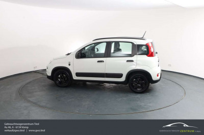 Fiat Panda Gebrauchtwagen Fiat Panda Gebrauchtwagen