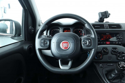 Fiat Panda Gebrauchtwagen Fiat Panda Gebrauchtwagen