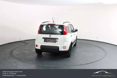 Fiat Panda Gebrauchtwagen Fiat Panda Gebrauchtwagen
