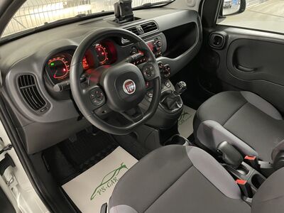 Fiat Panda Gebrauchtwagen