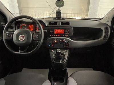 Fiat Panda Gebrauchtwagen