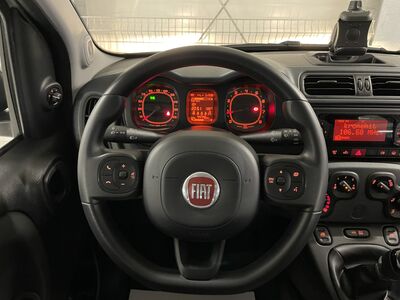 Fiat Panda Gebrauchtwagen