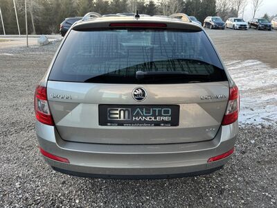 Skoda Octavia Gebrauchtwagen