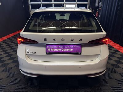 Skoda Octavia Gebrauchtwagen