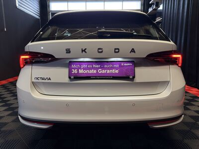 Skoda Octavia Gebrauchtwagen