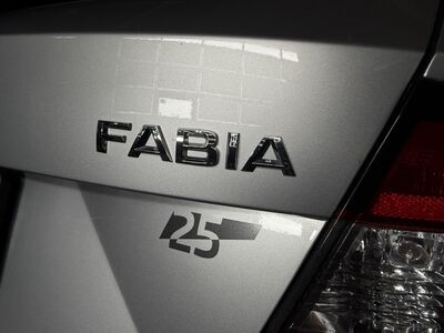 Skoda Fabia Gebrauchtwagen Skoda Fabia Gebrauchtwagen