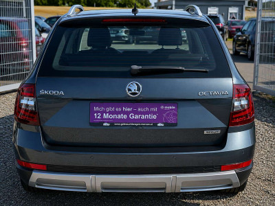 Skoda Octavia Gebrauchtwagen Skoda Octavia Gebrauchtwagen