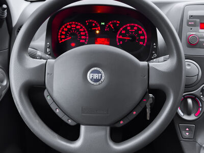 Fiat Panda Gebrauchtwagen