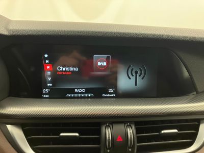 Alfa Romeo Stelvio Gebrauchtwagen