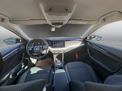 Skoda Octavia Gebrauchtwagen