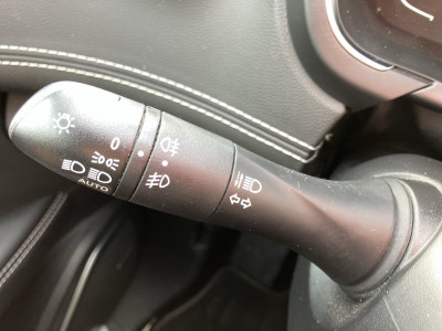 Renault Scénic Gebrauchtwagen