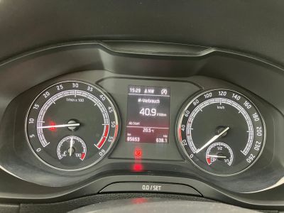 Skoda Karoq Gebrauchtwagen