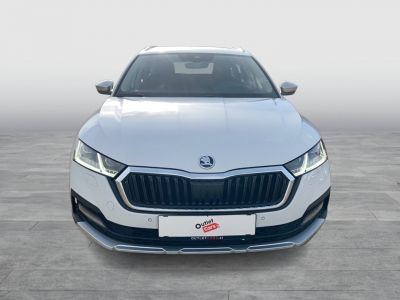 Skoda Octavia Gebrauchtwagen