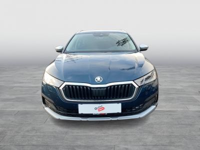 Skoda Octavia Gebrauchtwagen