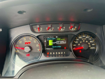 Ford F-150/F-250 Gebrauchtwagen Ford F-150/F-250 Gebrauchtwagen