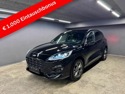 Ford Kuga Gebrauchtwagen