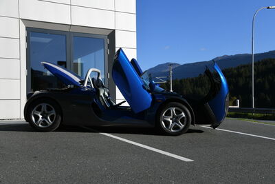 Renault Spider Gebrauchtwagen