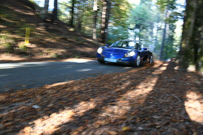 Renault Spider Gebrauchtwagen