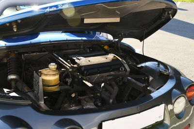 Renault Spider Gebrauchtwagen