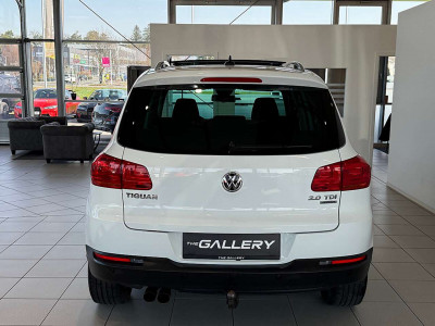 VW Tiguan Gebrauchtwagen