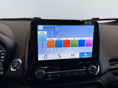 Ford EcoSport Gebrauchtwagen Ford EcoSport Gebrauchtwagen