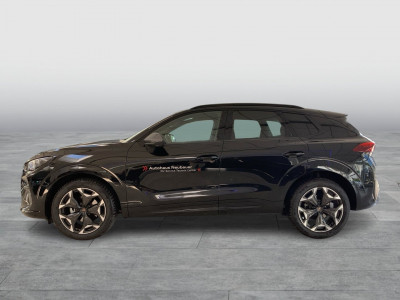 Cupra Terramar Gebrauchtwagen Cupra Terramar Gebrauchtwagen