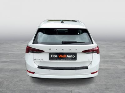 Skoda Octavia Gebrauchtwagen Skoda Octavia Gebrauchtwagen