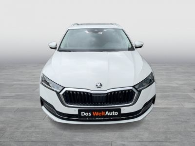 Skoda Octavia Gebrauchtwagen Skoda Octavia Gebrauchtwagen