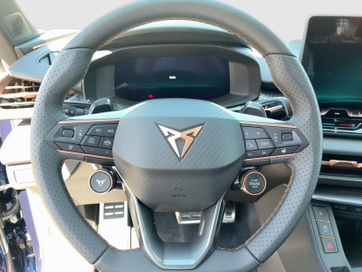 Cupra Terramar Gebrauchtwagen Cupra Terramar Gebrauchtwagen