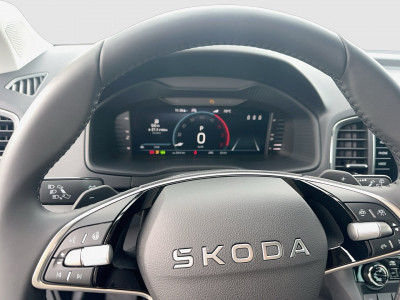 Skoda Karoq Gebrauchtwagen Skoda Karoq Gebrauchtwagen