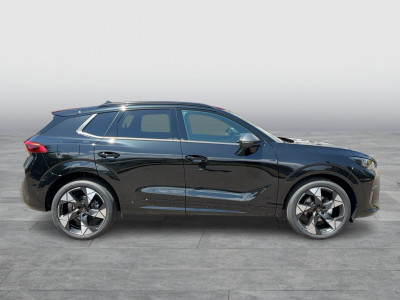 Cupra Terramar Gebrauchtwagen Cupra Terramar Gebrauchtwagen