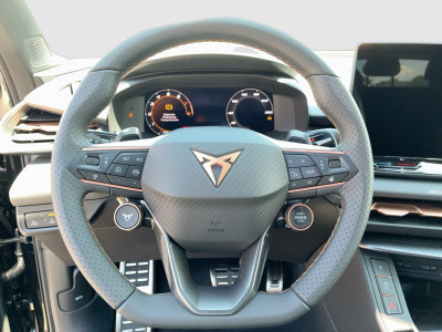 Cupra Terramar Gebrauchtwagen Cupra Terramar Gebrauchtwagen