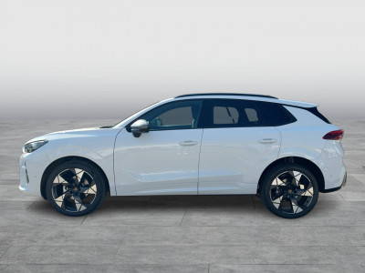 Cupra Terramar Gebrauchtwagen Cupra Terramar Gebrauchtwagen